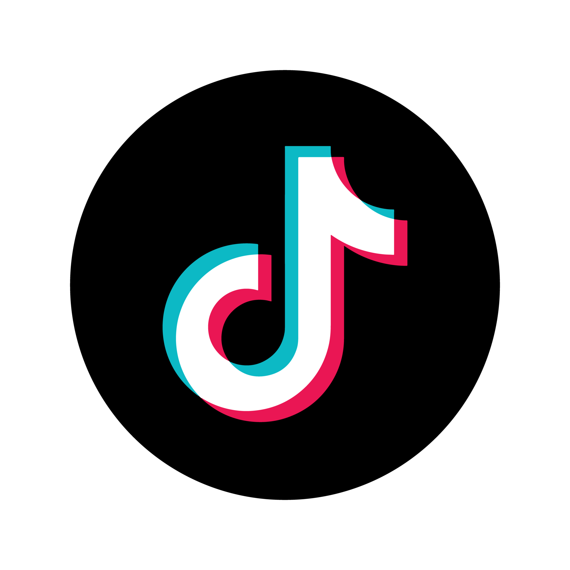 Logo do TikTok